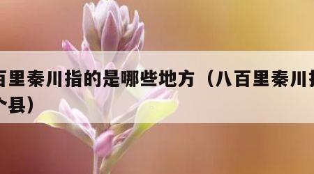 八百里秦川指的是哪些地方（八百里秦川指哪几个县）