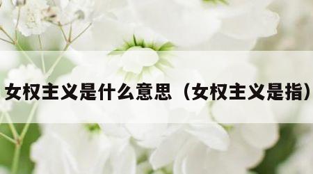女权主义是什么意思（女权主义是指）