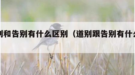 道别和告别有什么区别（道别跟告别有什么区别）