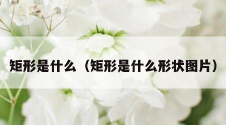 矩形是什么（矩形是什么形状图片）