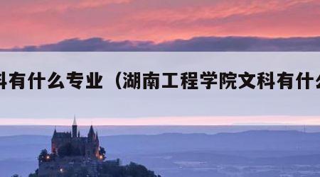 文科有什么专业（湖南工程学院文科有什么专业）