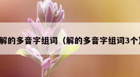 解的多音字组词（解的多音字组词3个）