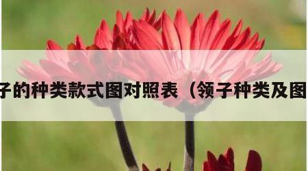 领子的种类款式图对照表（领子种类及图片）