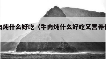 牛肉炖什么好吃（牛肉炖什么好吃又营养价值高）