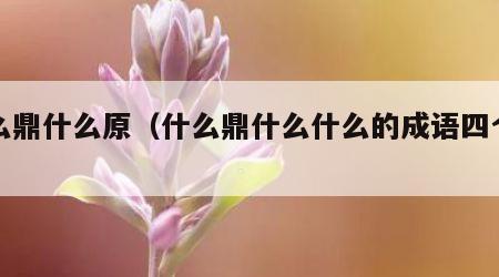 什么鼎什么原（什么鼎什么什么的成语四个字）