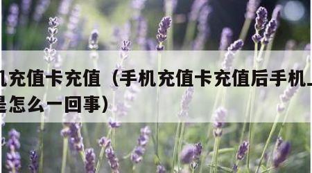 手机充值卡充值（手机充值卡充值后手机上没钱是怎么一回事）