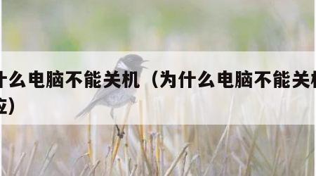 为什么电脑不能关机（为什么电脑不能关机没反应）