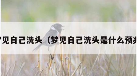 梦见自己洗头（梦见自己洗头是什么预兆）