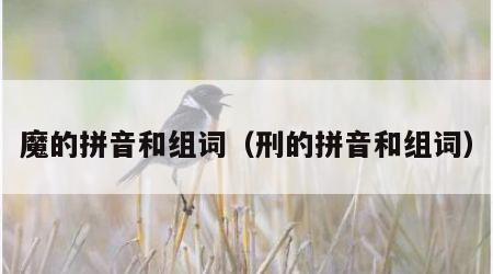 魔的拼音和组词（刑的拼音和组词）