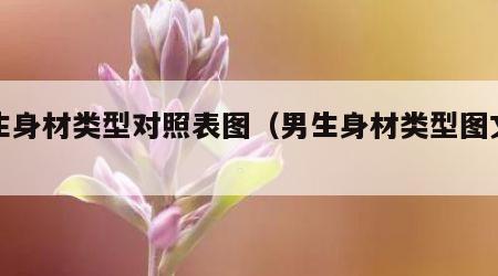男生身材类型对照表图（男生身材类型图文结合）