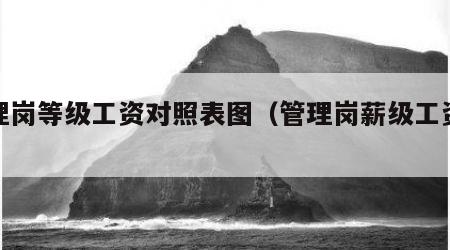 管理岗等级工资对照表图（管理岗薪级工资标准）