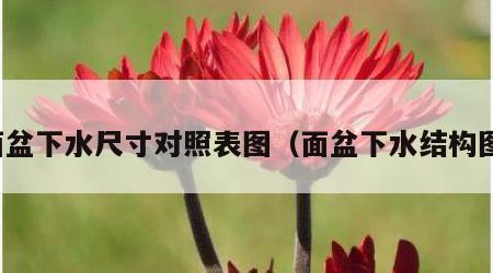 面盆下水尺寸对照表图（面盆下水结构图）