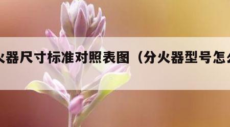分火器尺寸标准对照表图（分火器型号怎么区分）