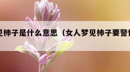 梦见柿子是什么意思（女人梦见柿子要警惕了）