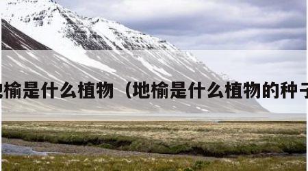 地榆是什么植物（地榆是什么植物的种子）