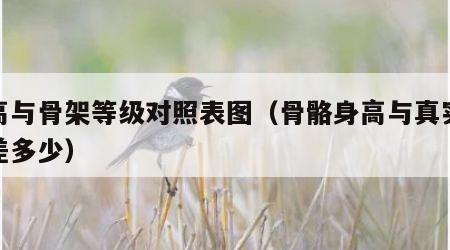 身高与骨架等级对照表图（骨骼身高与真实身高差多少）