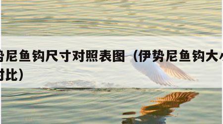 伊势尼鱼钩尺寸对照表图（伊势尼鱼钩大小尺寸对比）