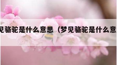 梦见骆驼是什么意思（梦见骆驼是什么意思?）
