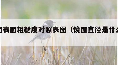 镜面表面粗糙度对照表图（镜面直径是什么意思）
