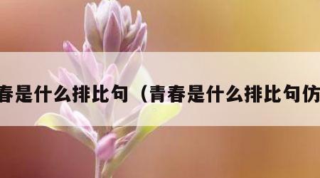 青春是什么排比句（青春是什么排比句仿写）