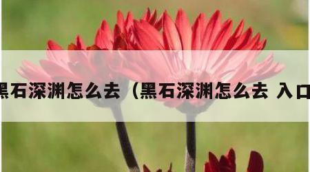 黑石深渊怎么去（黑石深渊怎么去 入口）