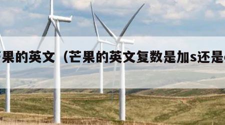 芒果的英文（芒果的英文复数是加s还是es）