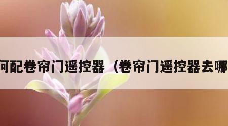 如何配卷帘门遥控器（卷帘门遥控器去哪配）