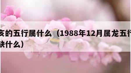 亥的五行属什么（1988年12月属龙五行缺什么）