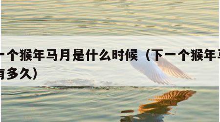 下一个猴年马月是什么时候（下一个猴年马月还有多久）