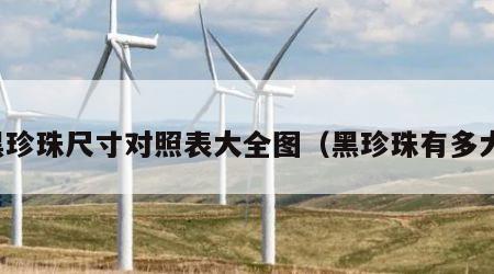 黑珍珠尺寸对照表大全图（黑珍珠有多大）