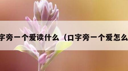 口字旁一个爱读什么（口字旁一个爱怎么念）