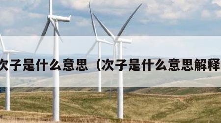 次子是什么意思（次子是什么意思解释）