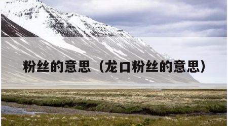 粉丝的意思（龙口粉丝的意思）