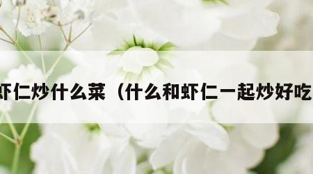 虾仁炒什么菜（什么和虾仁一起炒好吃）