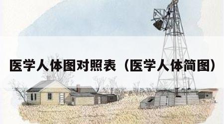 医学人体图对照表（医学人体简图）