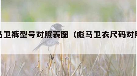彪马卫裤型号对照表图（彪马卫衣尺码对照表）