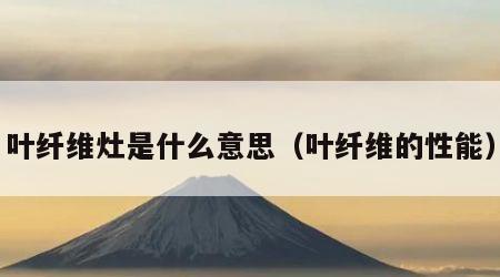叶纤维灶是什么意思（叶纤维的性能）