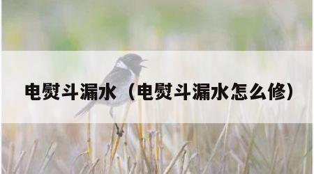 电熨斗漏水（电熨斗漏水怎么修）