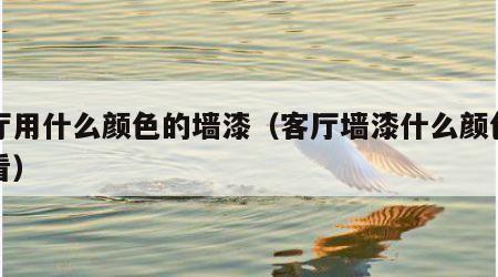 客厅用什么颜色的墙漆（客厅墙漆什么颜色最耐看）