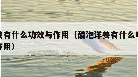 洋姜有什么功效与作用（醋泡洋姜有什么功效与作用）