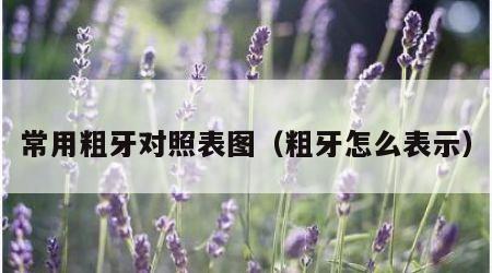 常用粗牙对照表图（粗牙怎么表示）
