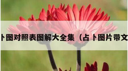 占卜图对照表图解大全集（占卜图片带文字）