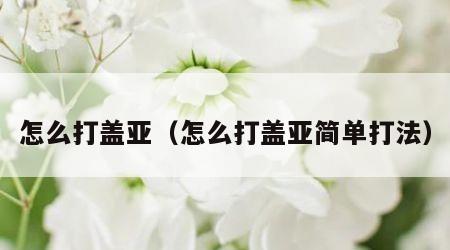 怎么打盖亚（怎么打盖亚简单打法）