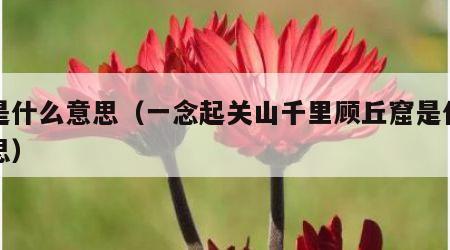 窟是什么意思（一念起关山千里顾丘窟是什么意思）