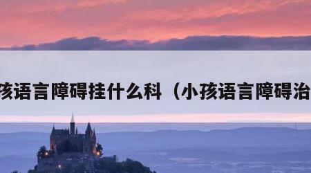 小孩语言障碍挂什么科（小孩语言障碍治疗）