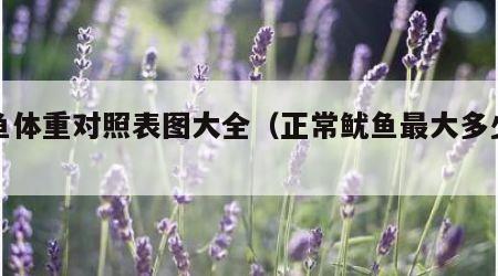 鱿鱼体重对照表图大全（正常鱿鱼最大多少斤）