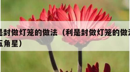 利是封做灯笼的做法（利是封做灯笼的做法简单五角星）