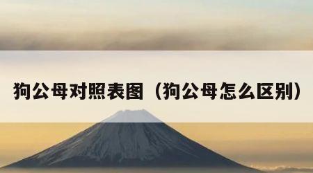 狗公母对照表图（狗公母怎么区别）