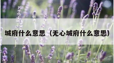 城府什么意思（无心城府什么意思）