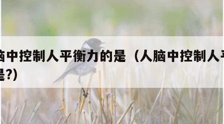 人脑中控制人平衡力的是（人脑中控制人平衡的是?）
